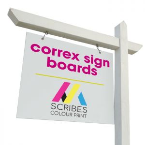 Correx Board Printing